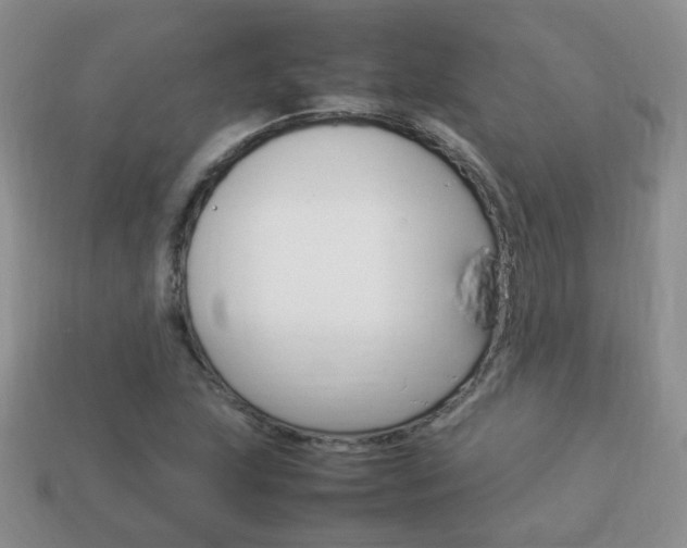 X0000114231215200910091321