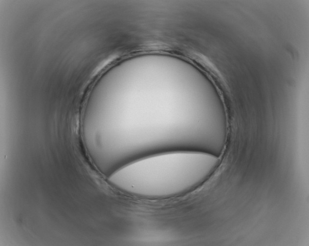 X0000114231220200910091321