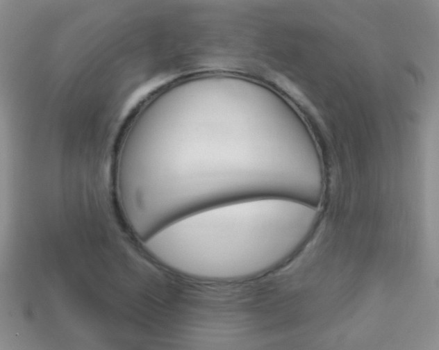 X0000114231222200910091321