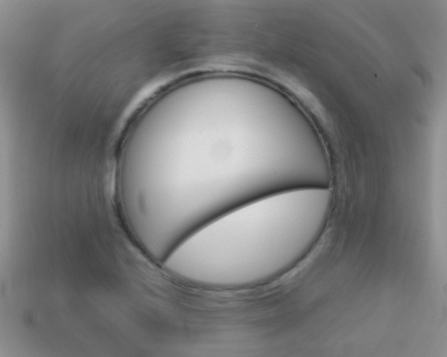 X0000114231224200910091321
