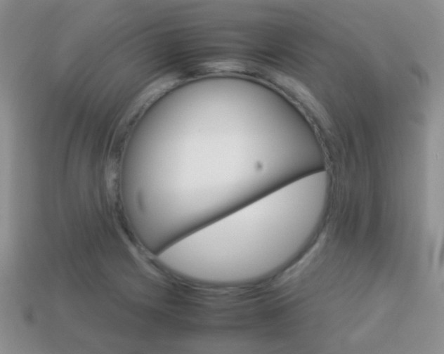X0000114231225200910091321