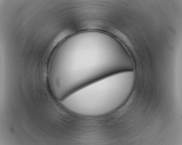 X0000114231226200910091321