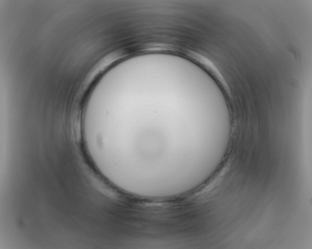 X0000114231227200910091321