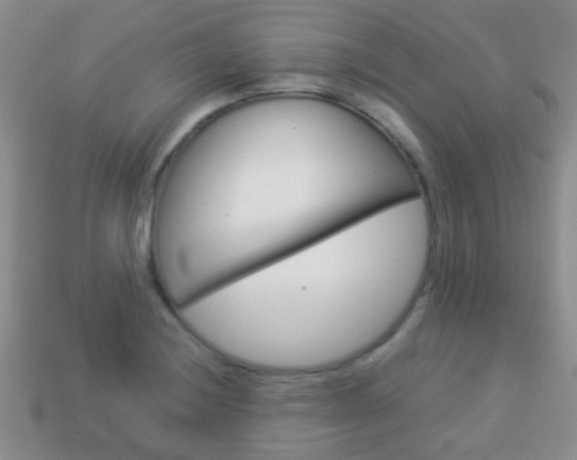 X0000114231228200910091321