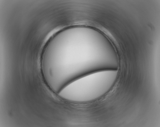 X0000114231230200910091321