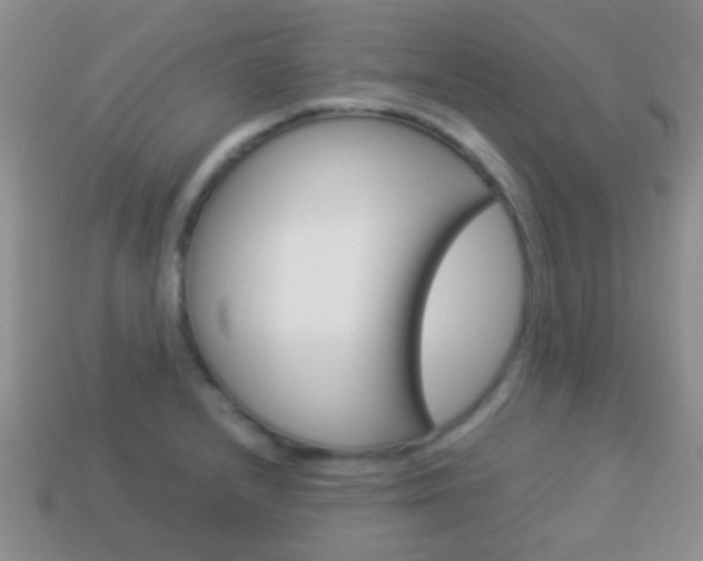 X0000114231232200910091321