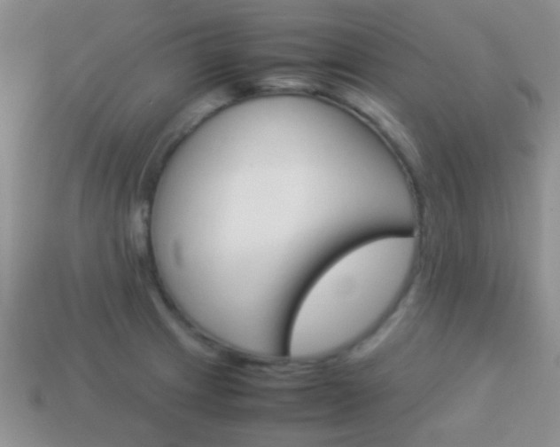X0000114231233200910091321