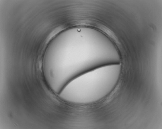 X0000114231234200910091321