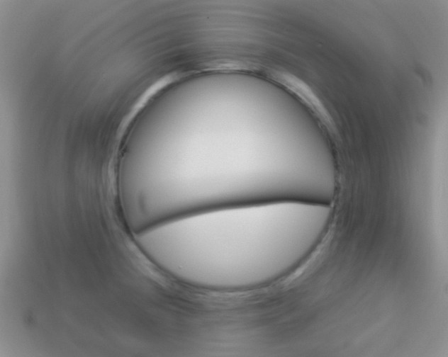 X0000114231236200910091321