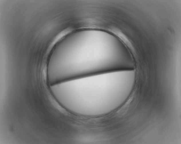 X0000114231238200910091321