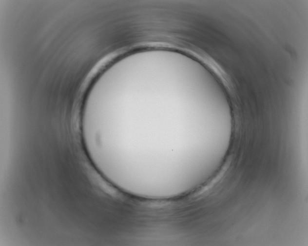 X0000114231240200910091321