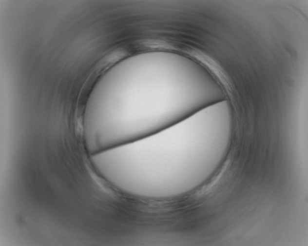 X0000114231241200910091321