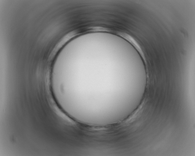 X0000114231243200910091321