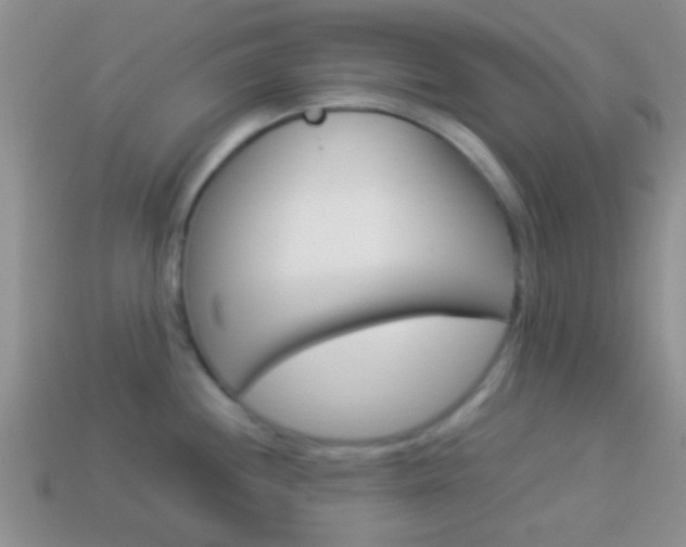 X0000114231244200910091321