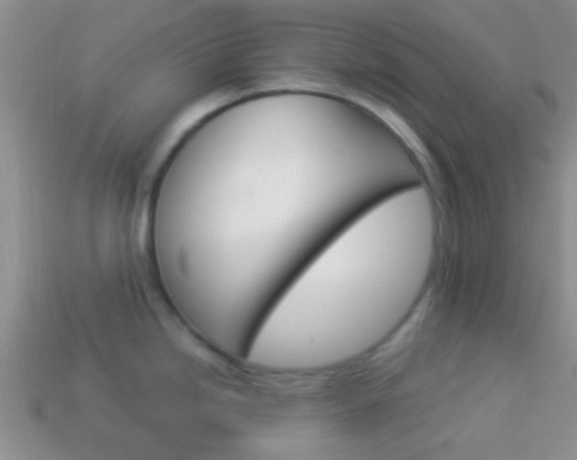 X0000114231246200910091321