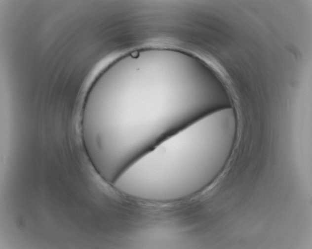 X0000114231248200910091321
