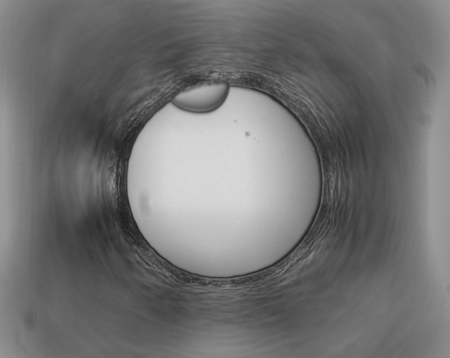 X0000114231250200910091320