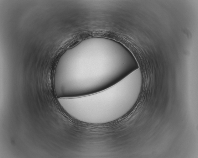 X0000114231252200910091320
