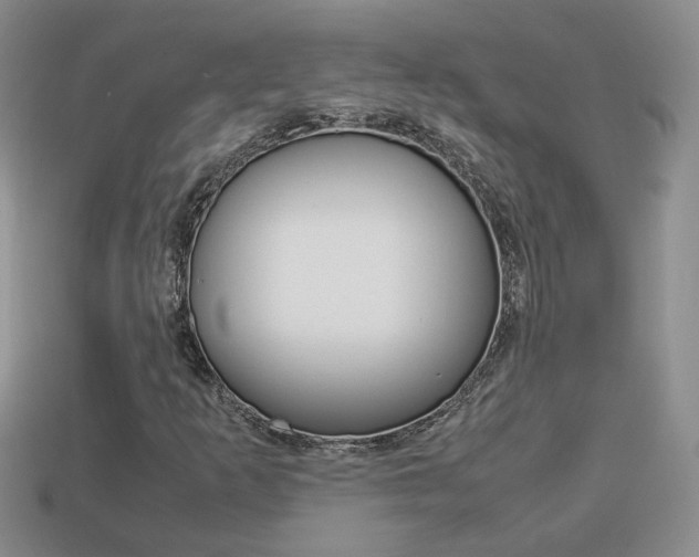 X0000114231253200910091320