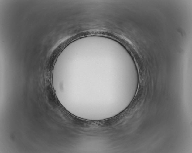 X0000114231255200910091320