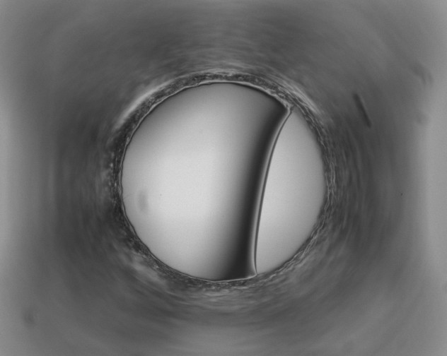 X0000114231256200910091320