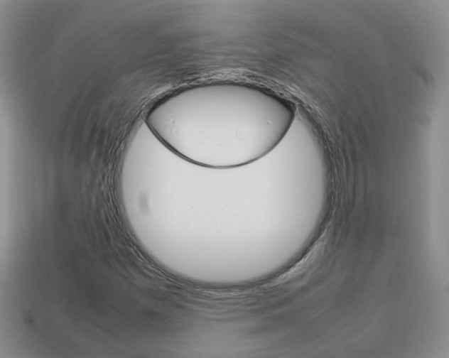 X0000114231257200910091320