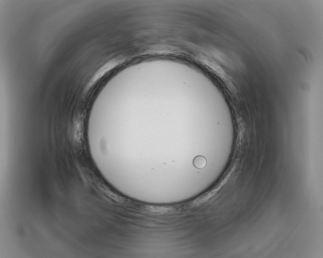 X0000114231258200910091320