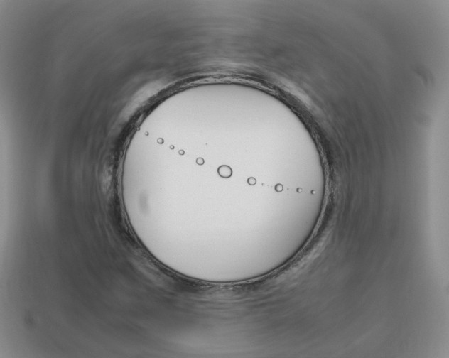 X0000114231259200910091320