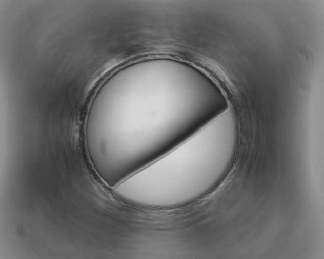 X0000114231260200910091320