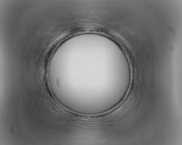 X0000114231261200910091320