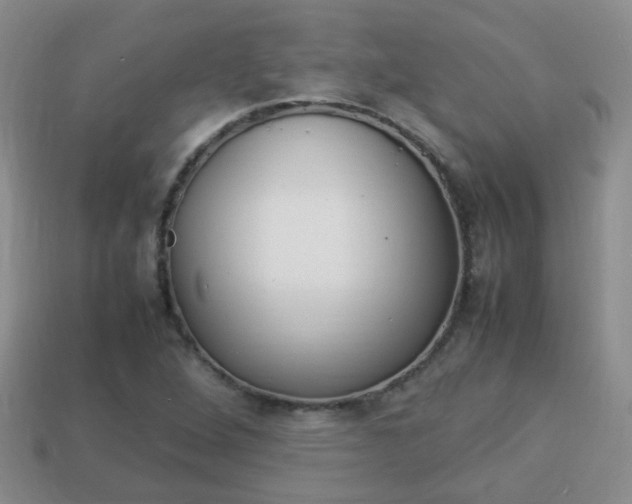 X0000114231264200910091320