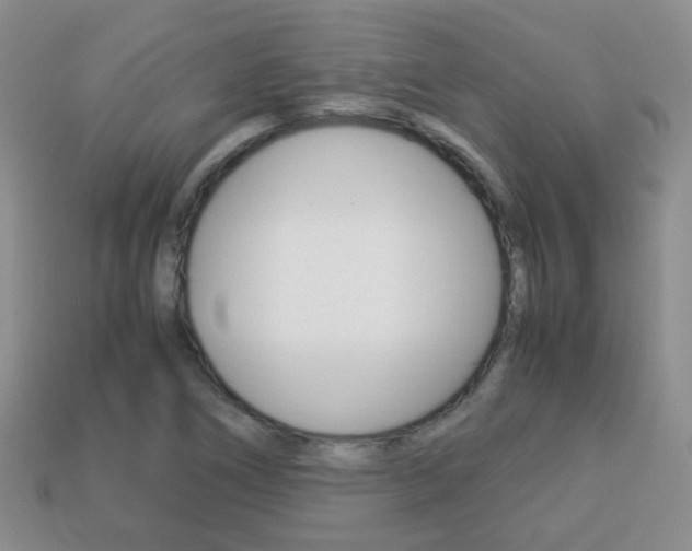 X0000114231266200910091320