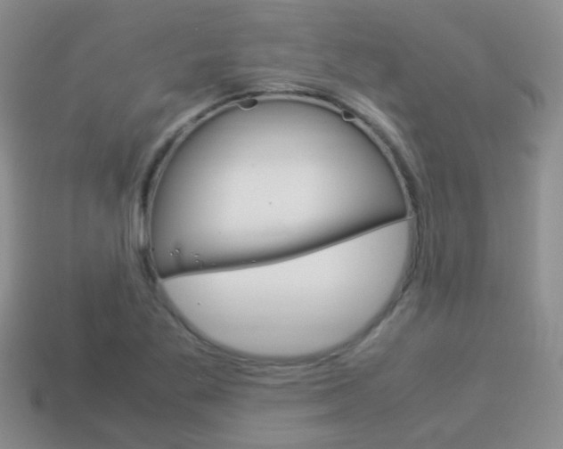 X0000114231269200910091320