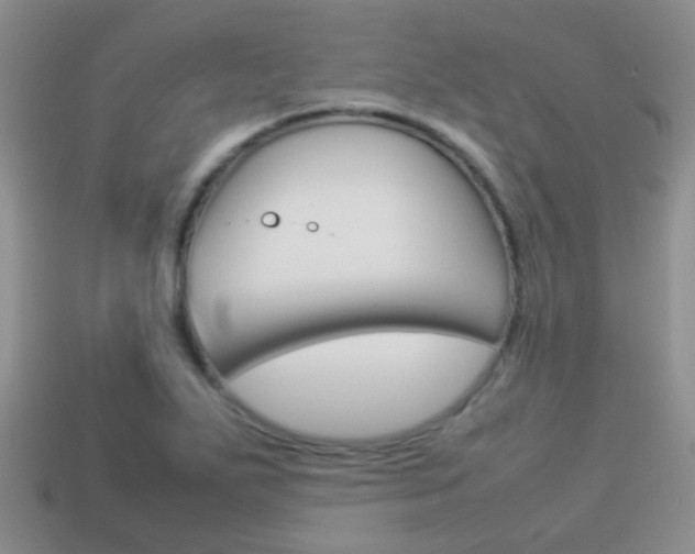 X0000114231271200910091320