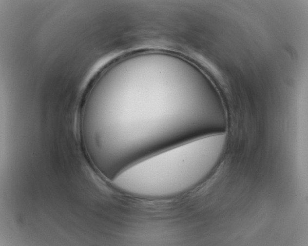 X0000114231272200910091320