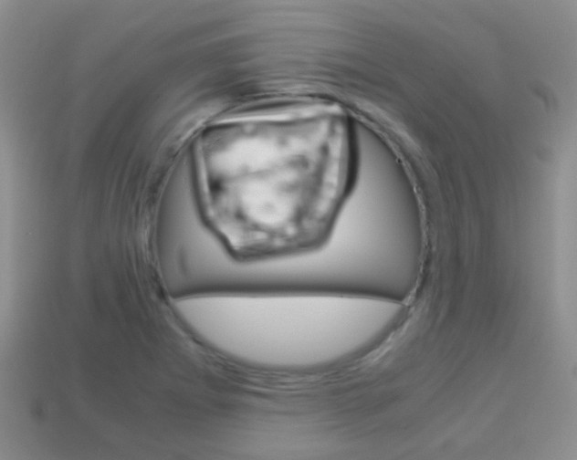 X0000114231273200910091320