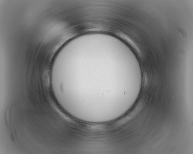 X0000114231274200910091320