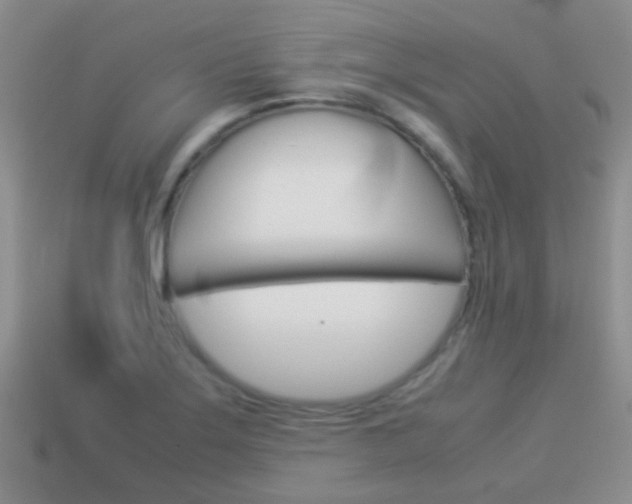 X0000114231275200910091320