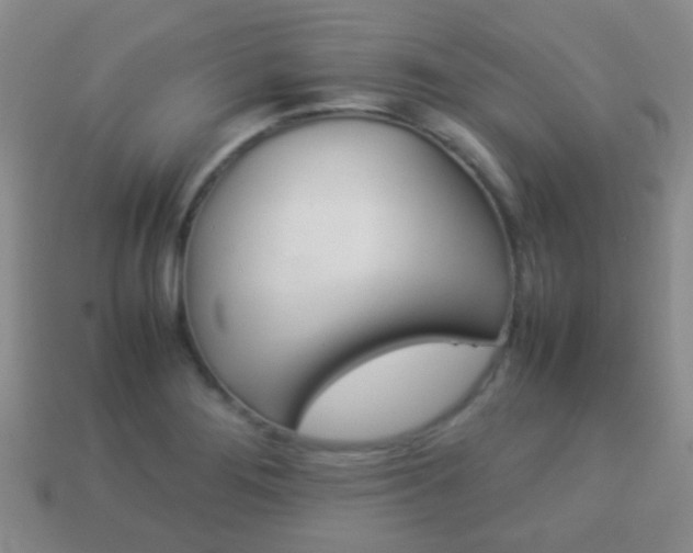 X0000114231276200910091320