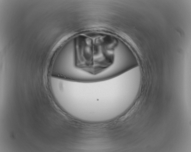 X0000114231277200910091320