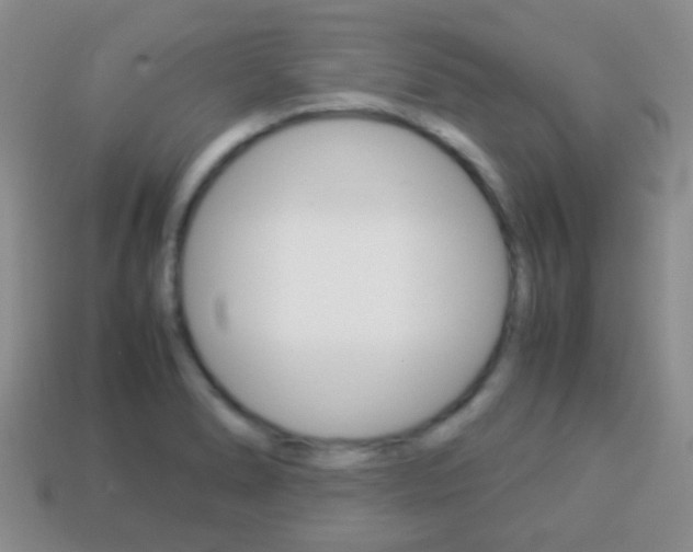 X0000114231278200910091320