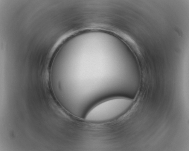 X0000114231280200910091320