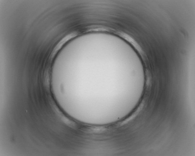 X0000114231282200910091320