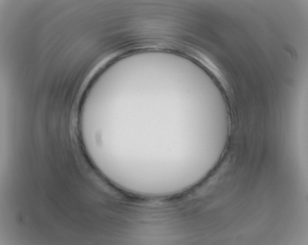 X0000114231283200910091320
