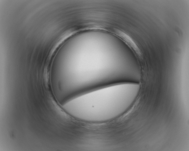 X0000114231284200910091320