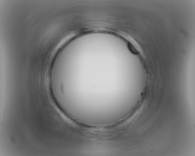 X0000114231285200910091320