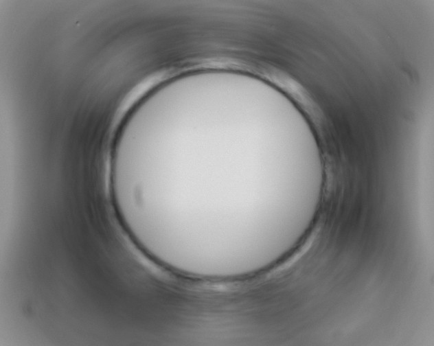 X0000114231286200910091320