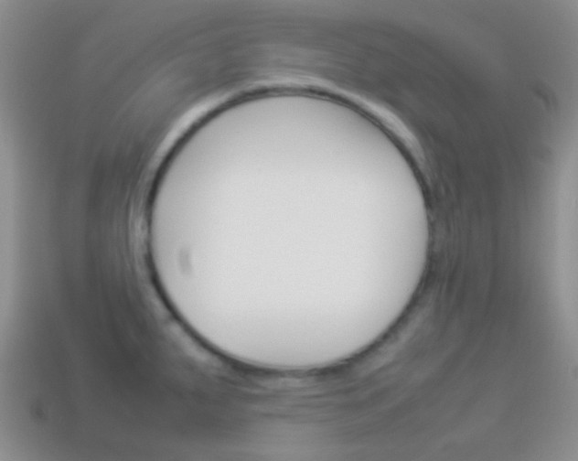 X0000114231287200910091320