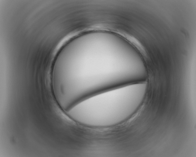 X0000114231288200910091320