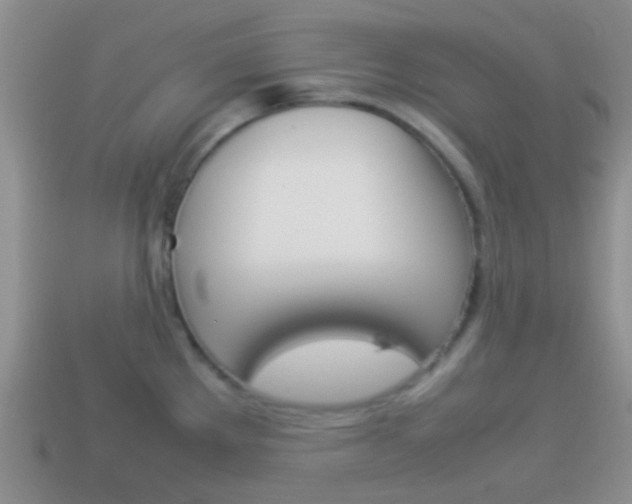 X0000114231289200910091320